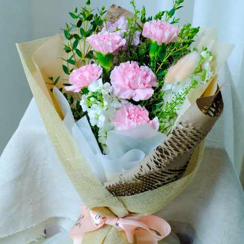 Tender Carnation Elegance